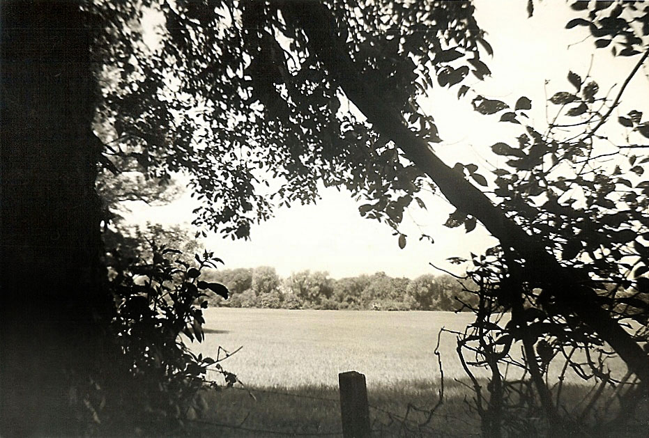View of College Grounds, 1965