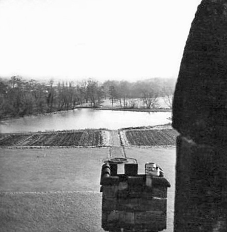 Lake view from the tower