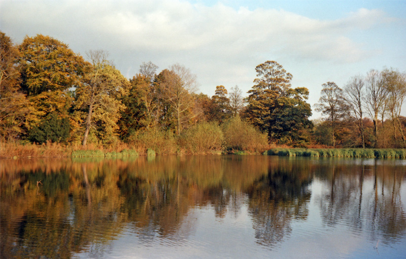 The Lake 1982
